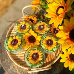 Sunflower Mould
